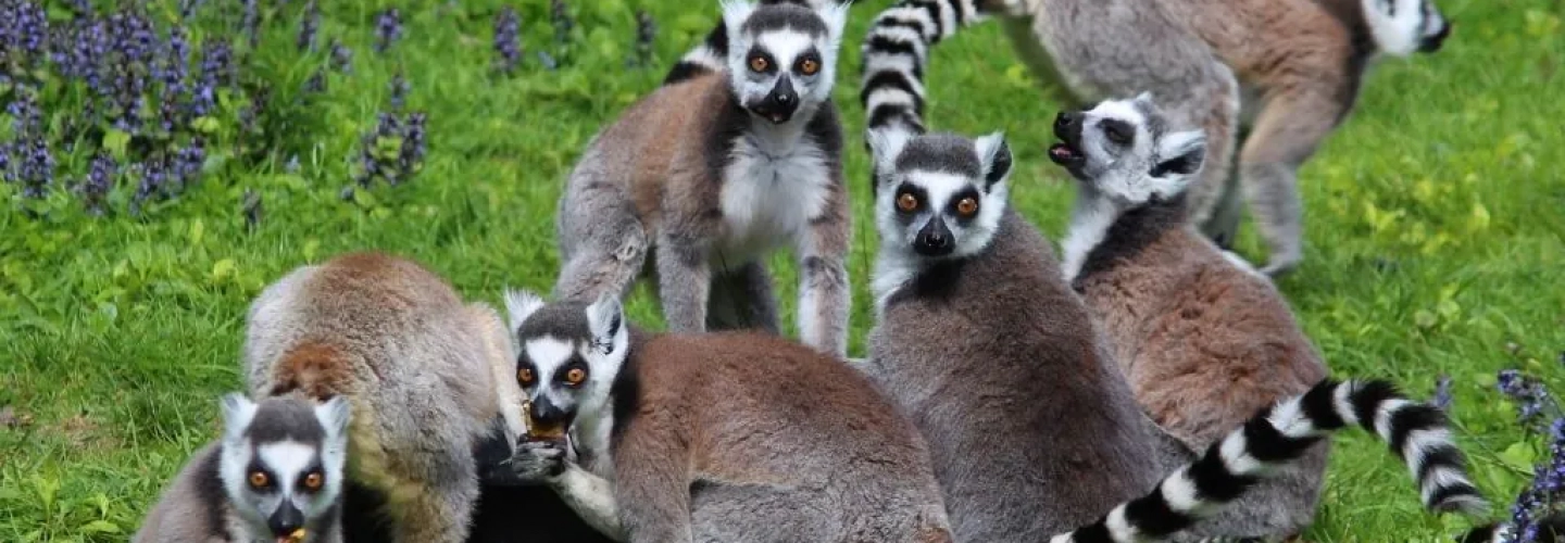 Sortie à Spaycific’ZOO